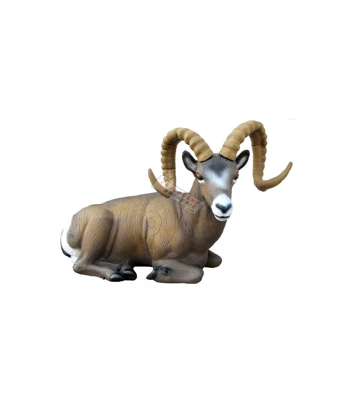 Rock Mountain Sheep couché SRT 
