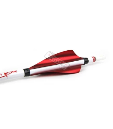 Sachet 50 plumes XS Wings