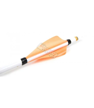 Sachet 50 plumes XS Wings