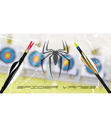 Sachet 60 plumes Spider Vanes Invictus