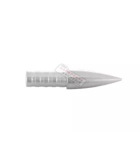 Pointe Gold Tip Accu Point .246