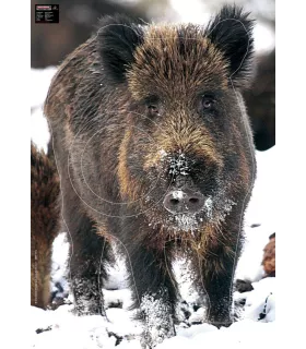 Blason Grand Gibier Sanglier