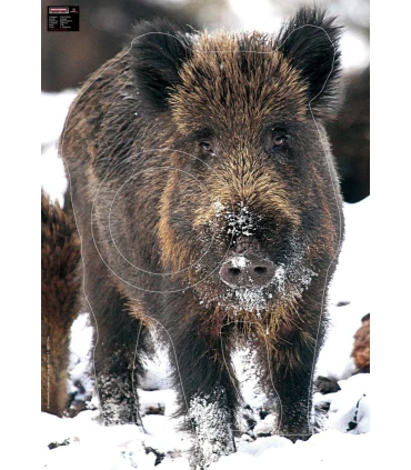 Blason Grand Gibier Sanglier