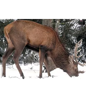 Blason Grand Gibier Cerf qui mange