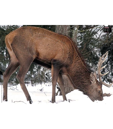 Blason Grand Gibier Cerf qui mange