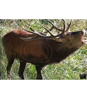 Blason Grand Gibier Cerf qui brâme