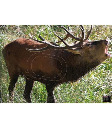 Blason Grand Gibier Cerf qui brâme