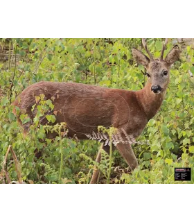 Blason Moyen Chevrette Alerte Droite