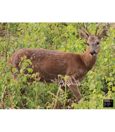 Blason Moyen Chevrette Alerte Droite