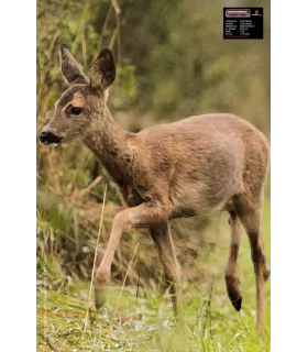 Blason Petit Gibier Chevrette