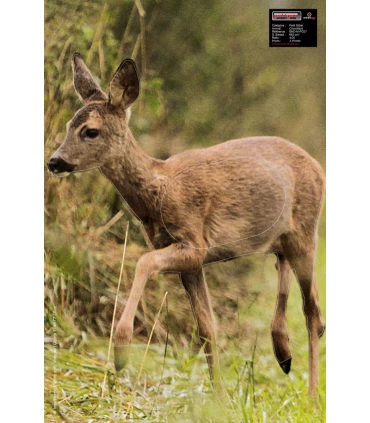 Blason Petit Gibier Chevrette