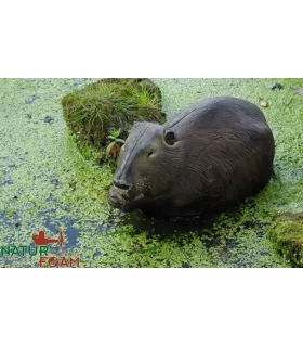 Ragondin Nature Foam