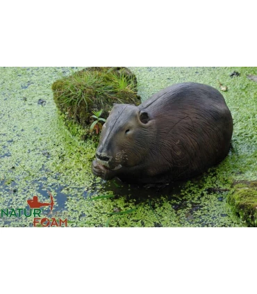 Ragondin Nature Foam