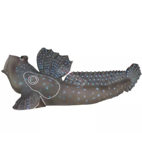 SRT Saltafango Mudskipper