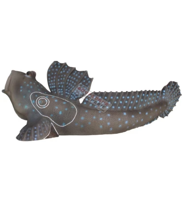 SRT Saltafango Mudskipper