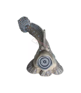 SRT Saltafango Mudskipper