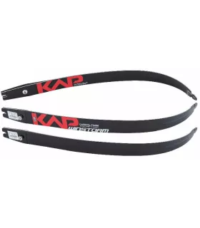 Branches KAP Winstorm Carbon