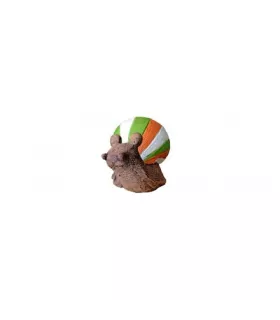 Wildcrete Snail (Escargot)