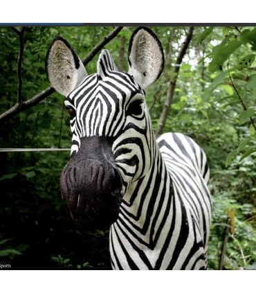 Wildcrete Zebra