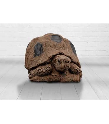 Wildcrete Tortue