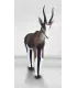 Wildcrete Blesbuck