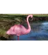 Wildcrete Flamant rose