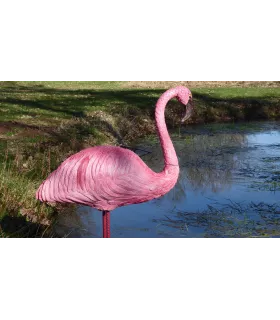 Wildcrete Flamant rose