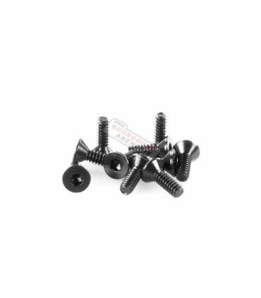 Vis Hoyt pour module cam