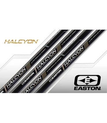 Central Easton Micro Flex