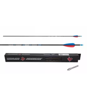 Pack 12 Flèches Skylon Radius 4.2 
