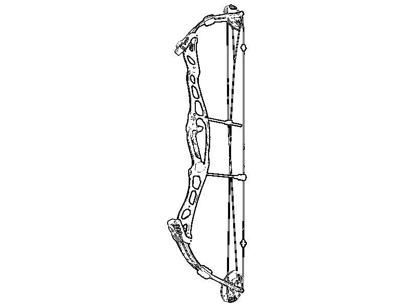 Arc Courbe Great Plains Rio Bravo LH50 22.7kg – Longue Courbe Pour Pro
