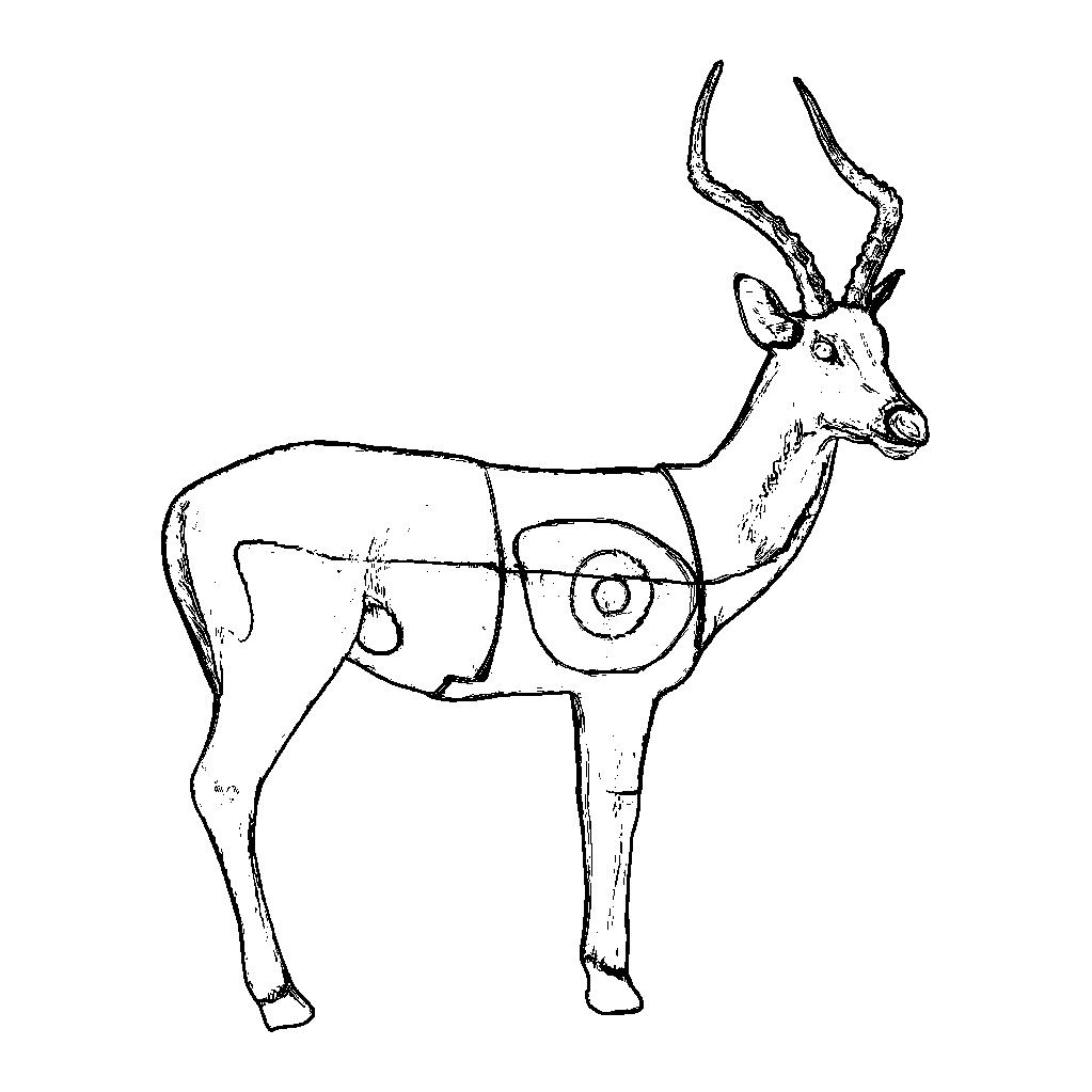 Cible de tir à l'arc 3D pour animaux, accessoires d