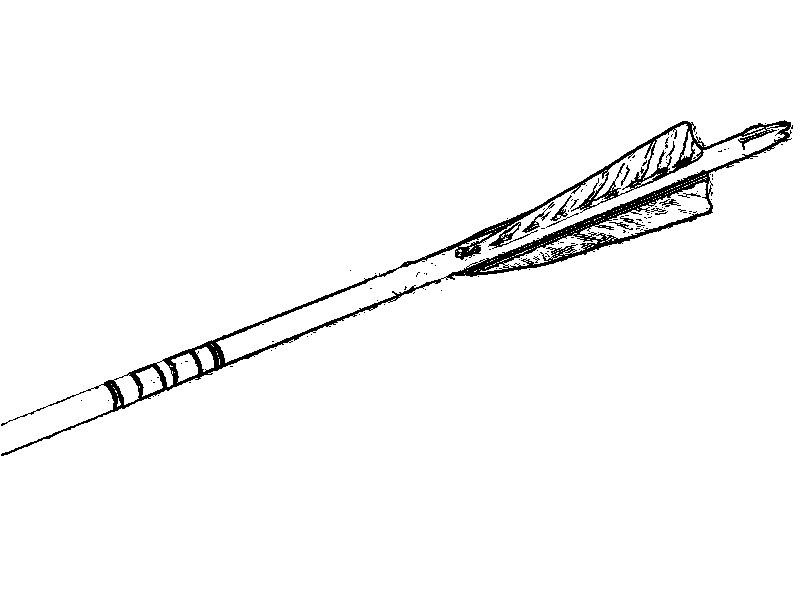 Flèches Carbone SP500 Pour Arc Chasse - Plumes Naturelles, 6/12 Pièces, Longueurs 28/30/31 Pouces